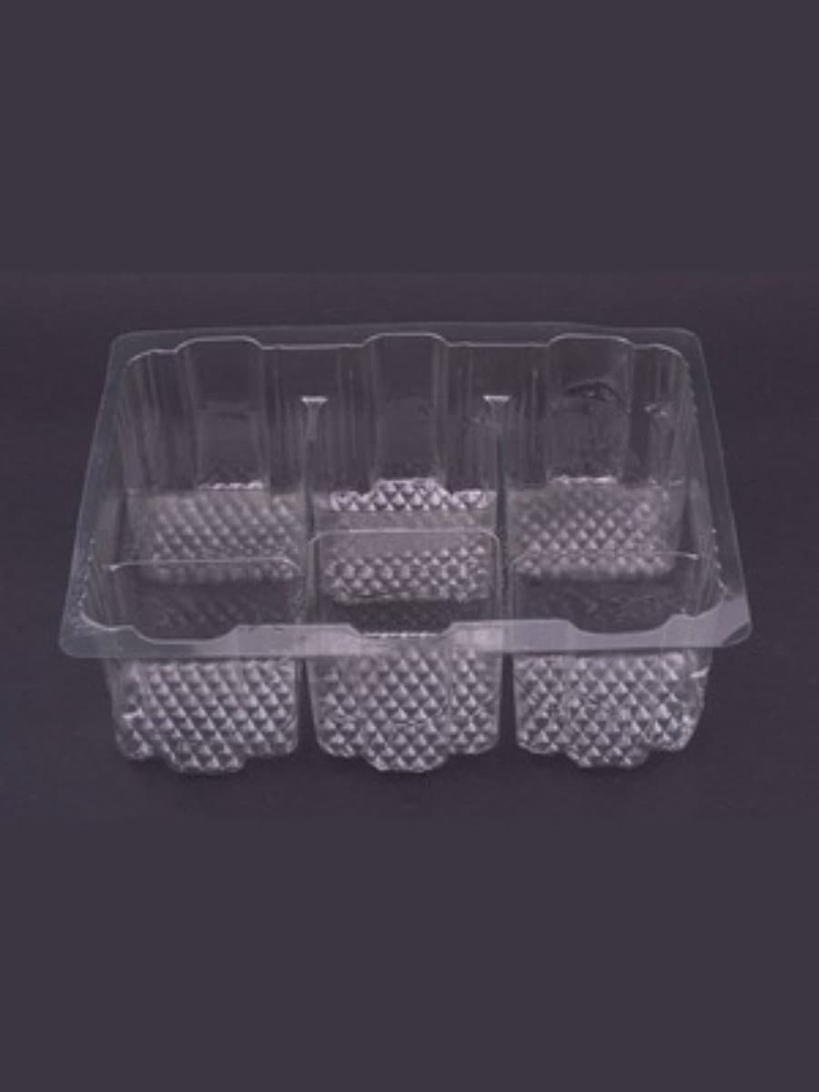 Six Compartment food tray