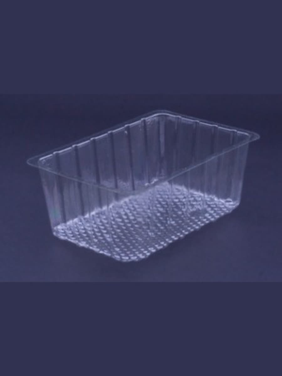 Rectangle Single cake packaging tray 2