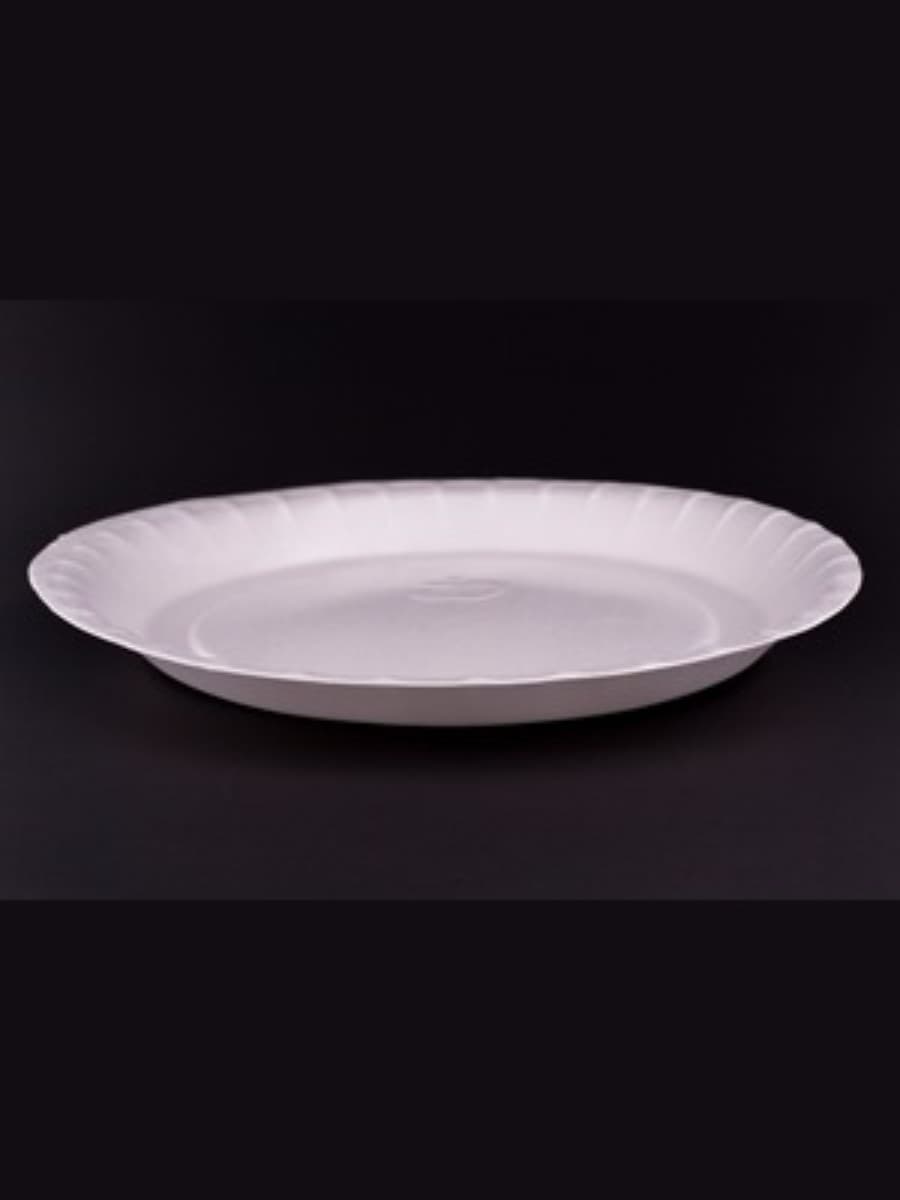 PS AP-12_ FOAM PLATE (P-25) 2