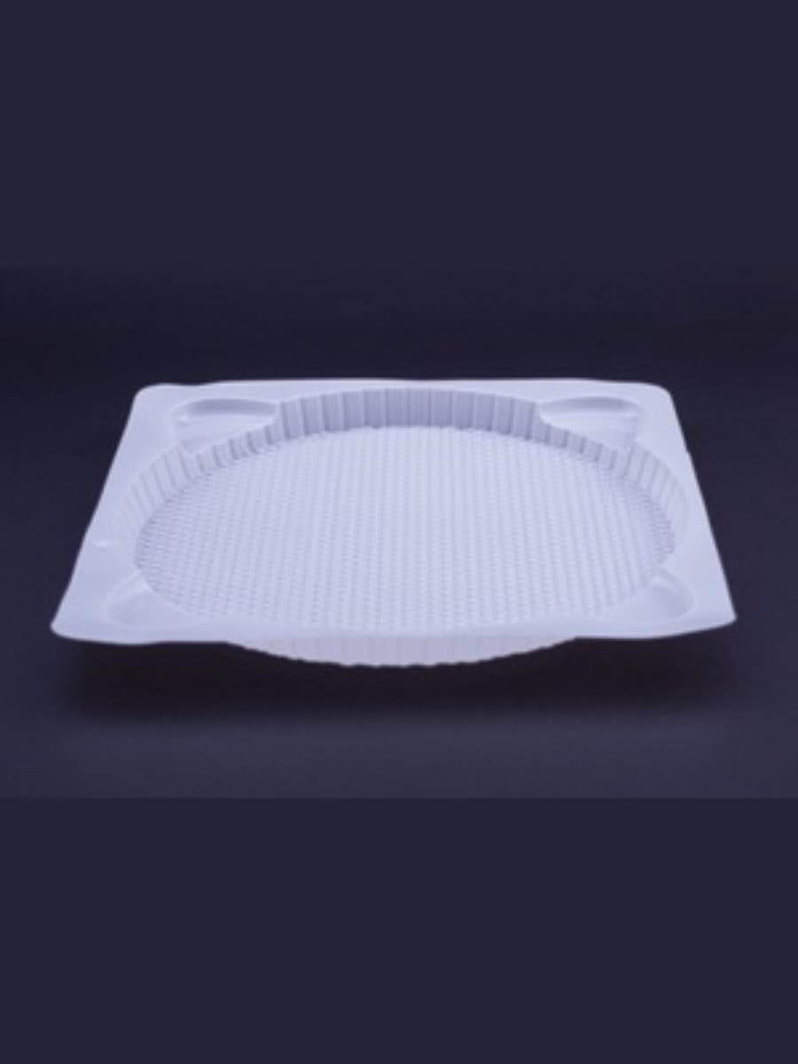 plastic food plate