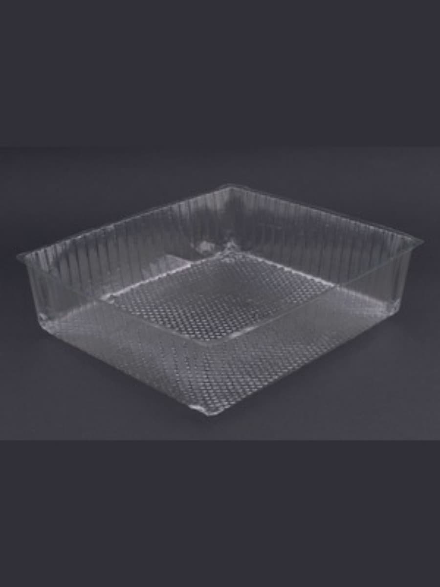 rectangular PET plastic food packaging tray 2