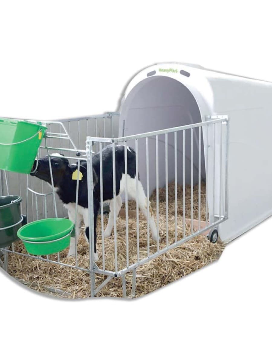 Calf Cage With Calf House