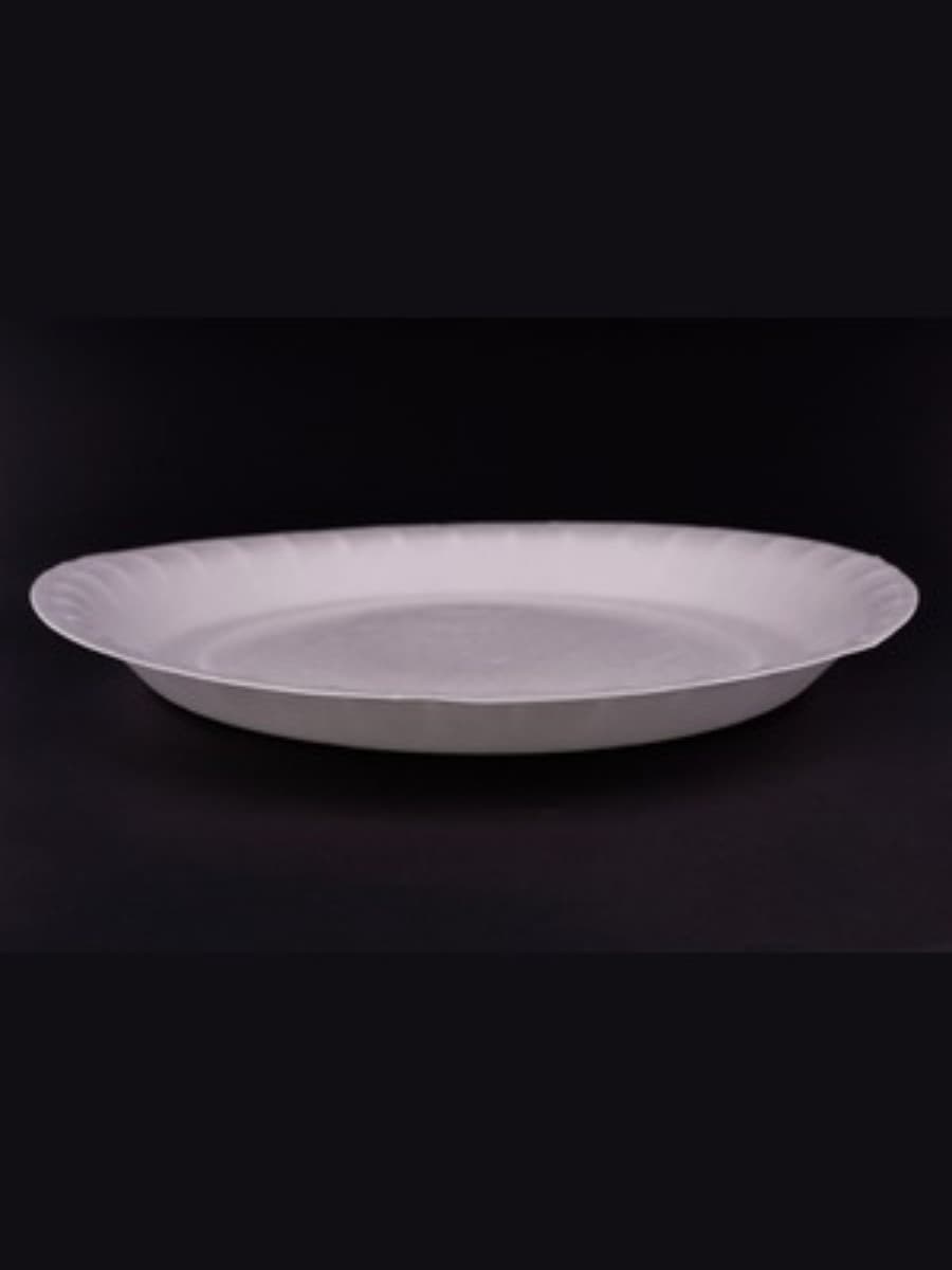 PS AP-12_ FOAM PLATE (P-25) -2 2