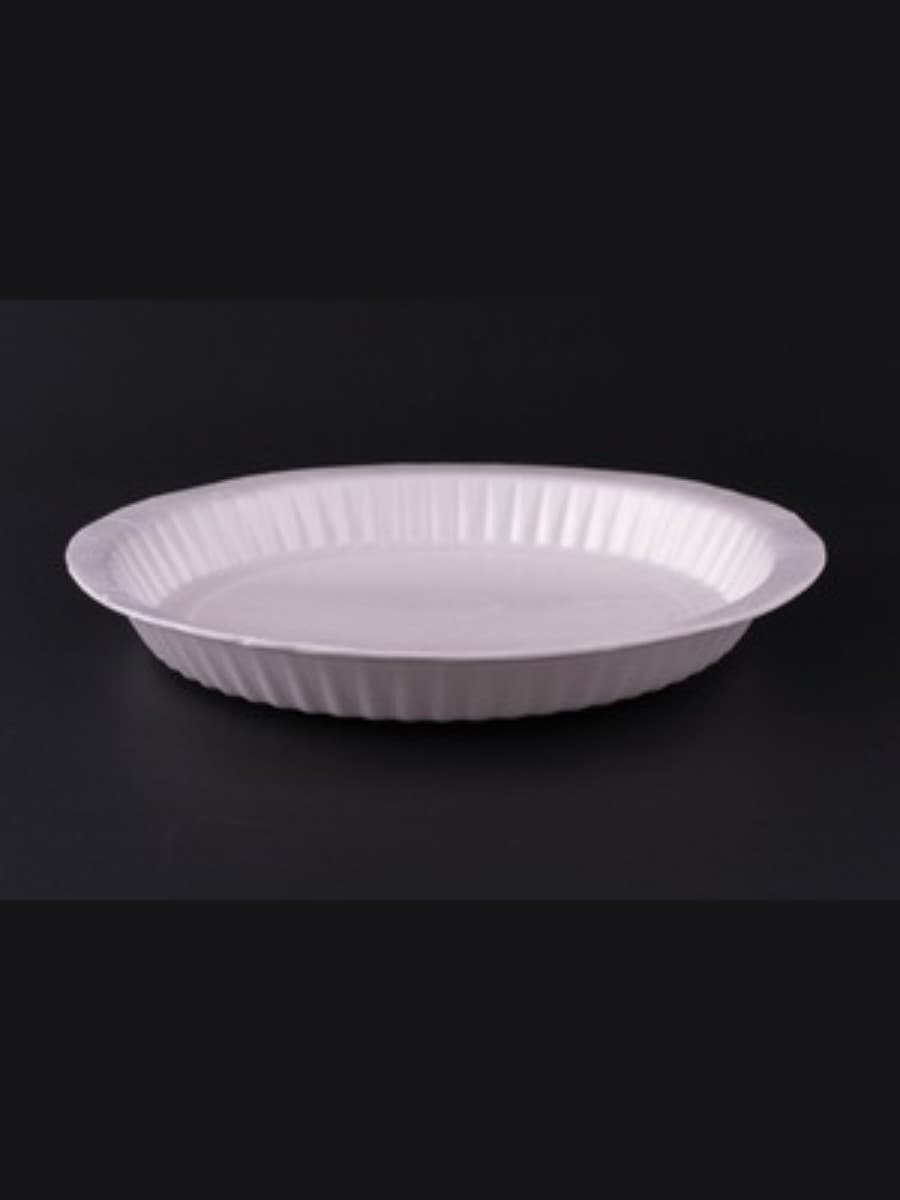 PS AP-8_ FOAM PLATE (P-21) 2