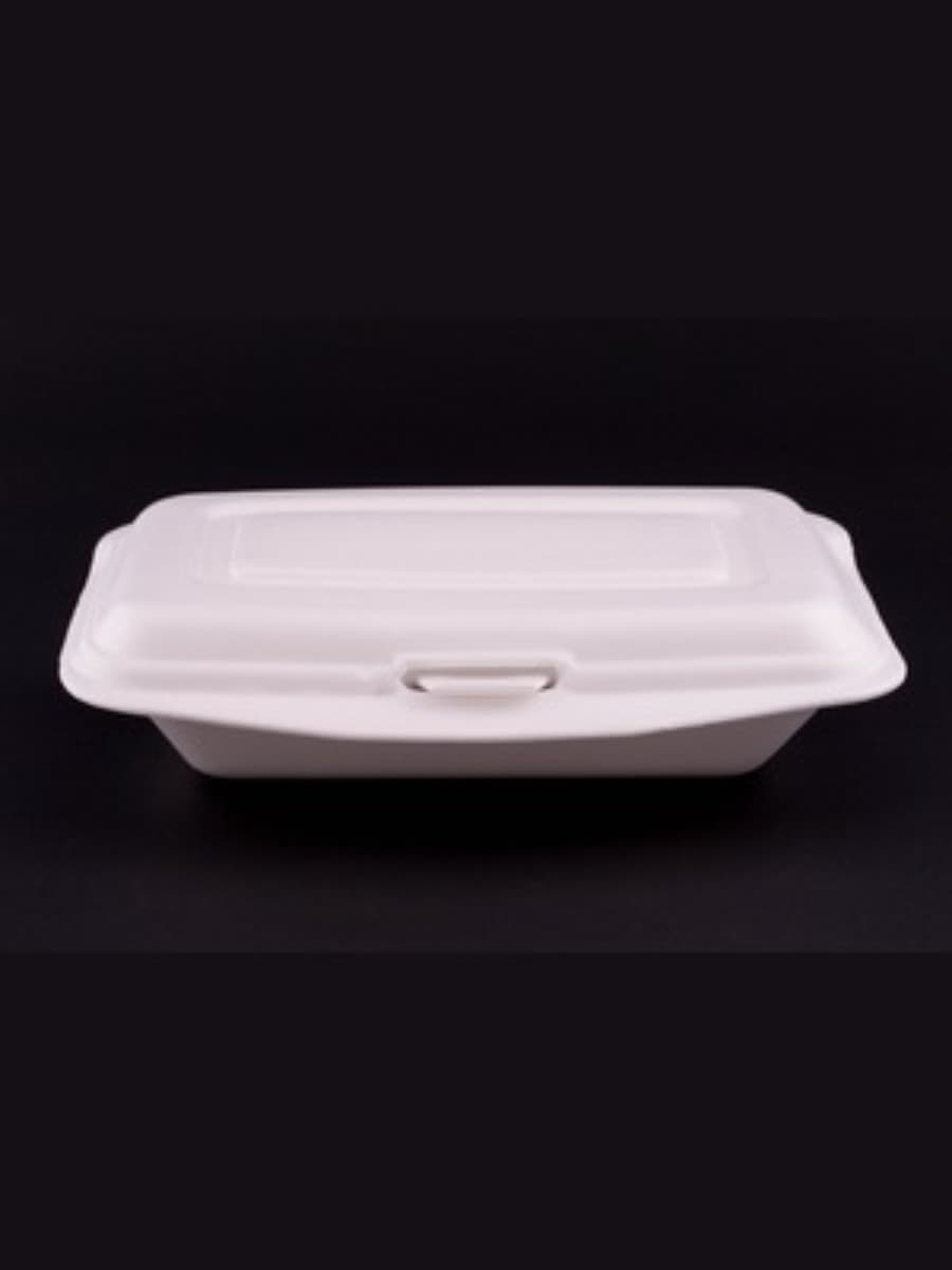 PS AP LUNCH BOX 2(AP-2)