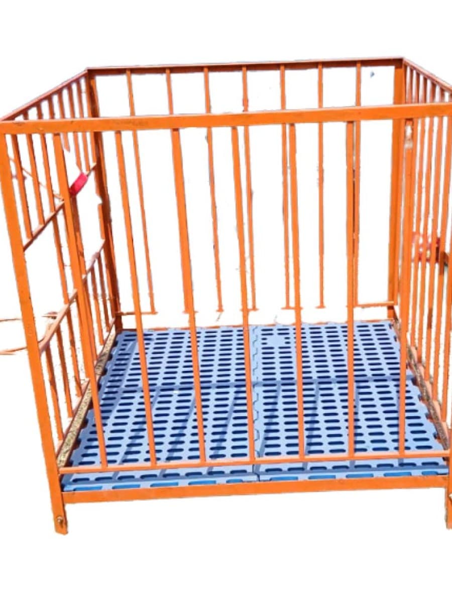 Calf Cage-TGL(Self-Made 40″*40″*42″) #dairyman