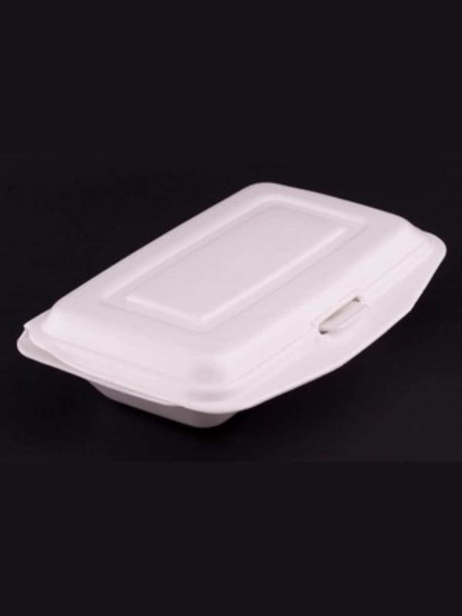 PS AP LUNCH BOX 2(AP-2) 2