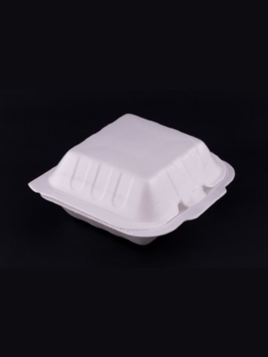 PS AP BURGER BOX (B-10) 2