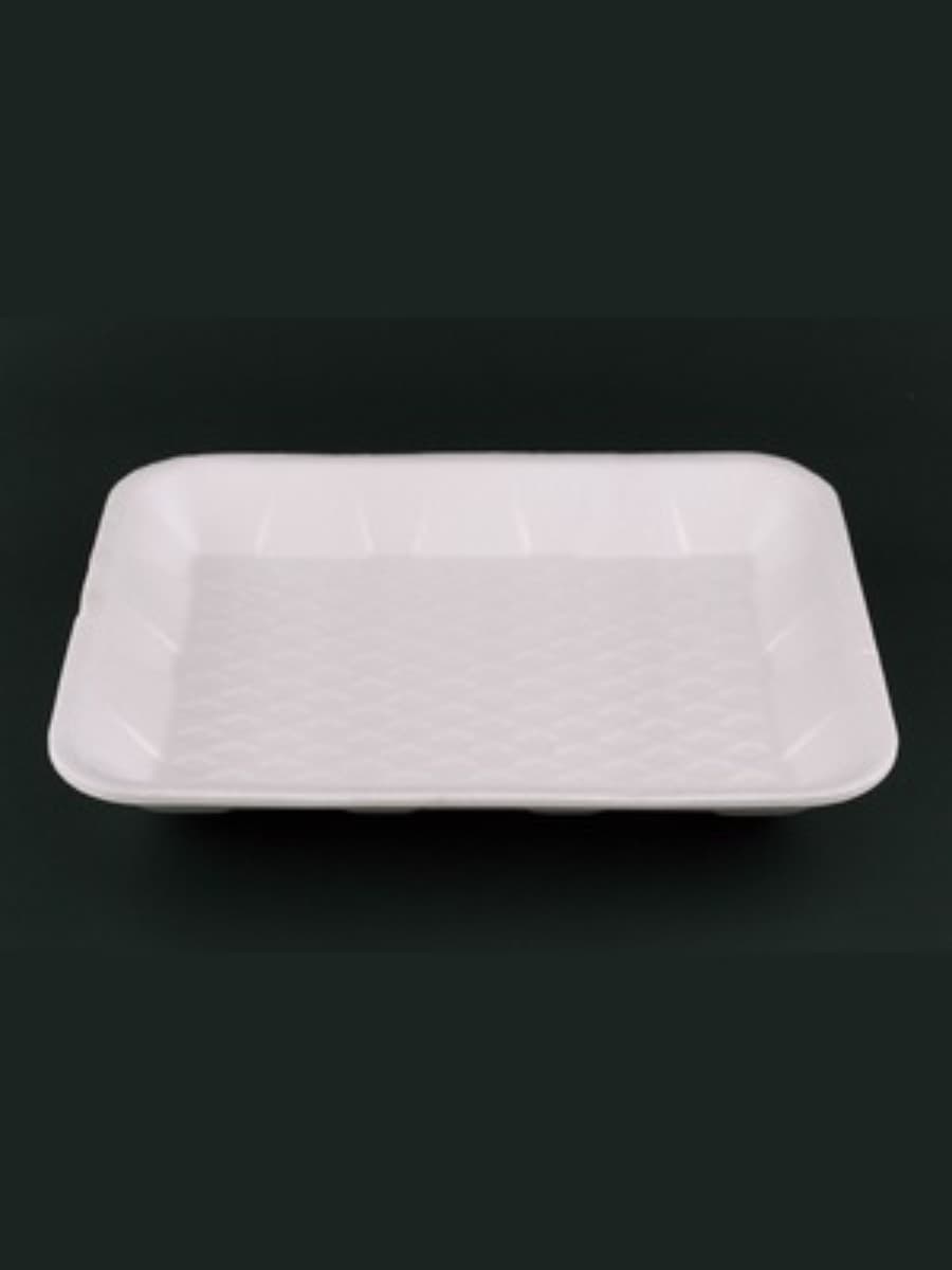PS AP FOAM TRAY 16(T-16) -2