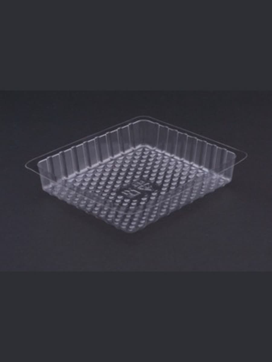 Disposable Plastic Tray 2