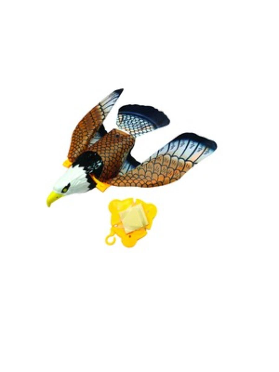 Eagle Bird