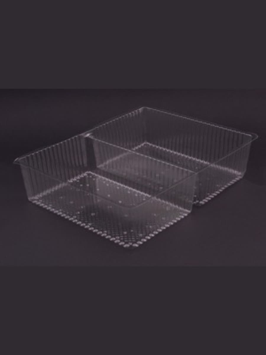 wo-compartment disposable food tray 4