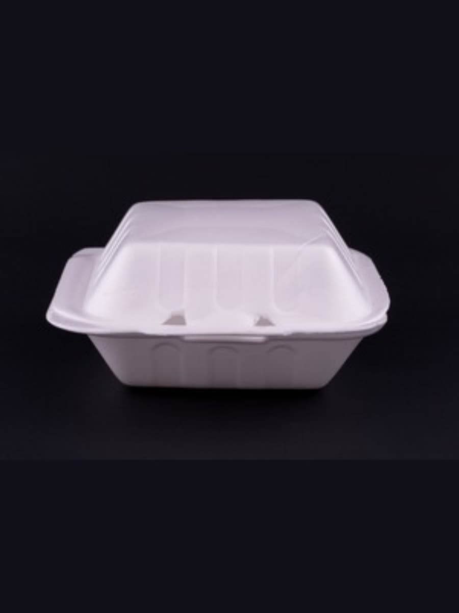 PS AP BURGER BOX (B-10)