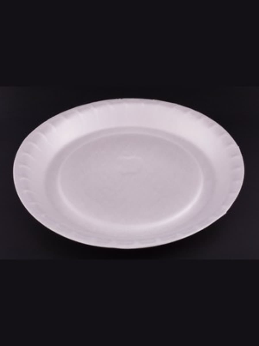 PS AP-12_ FOAM PLATE (P-25) -2