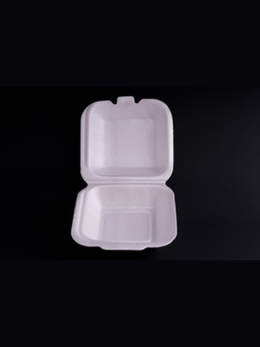 PS AP BURGER BOX (B-10) 3
