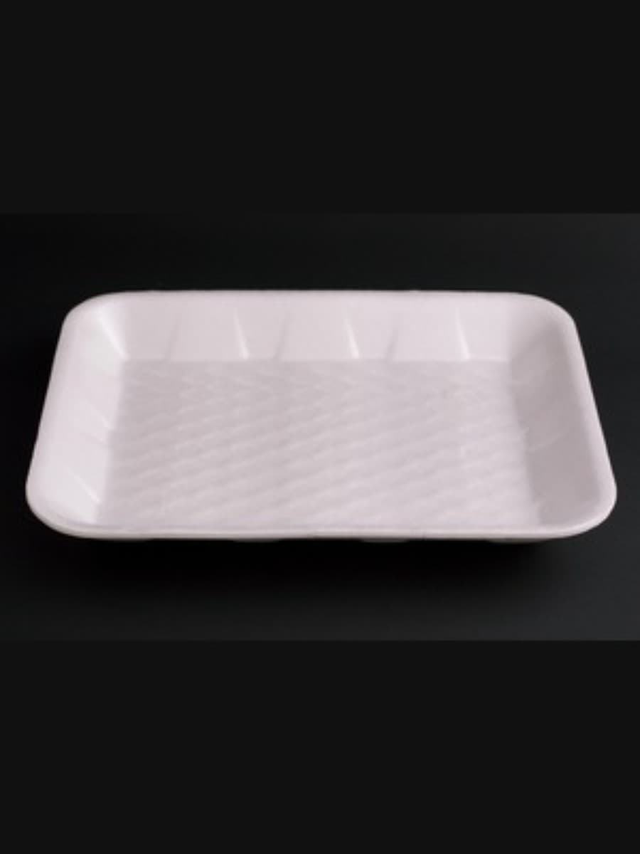 PS AP FOAM TRAY 16 (T-16)