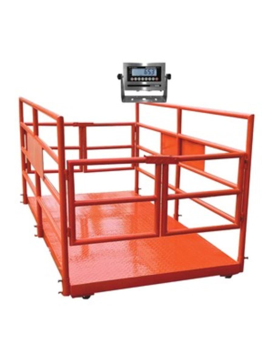 Cattle Weight Scale (Buffalo – Cow – Bull)-1 Ton