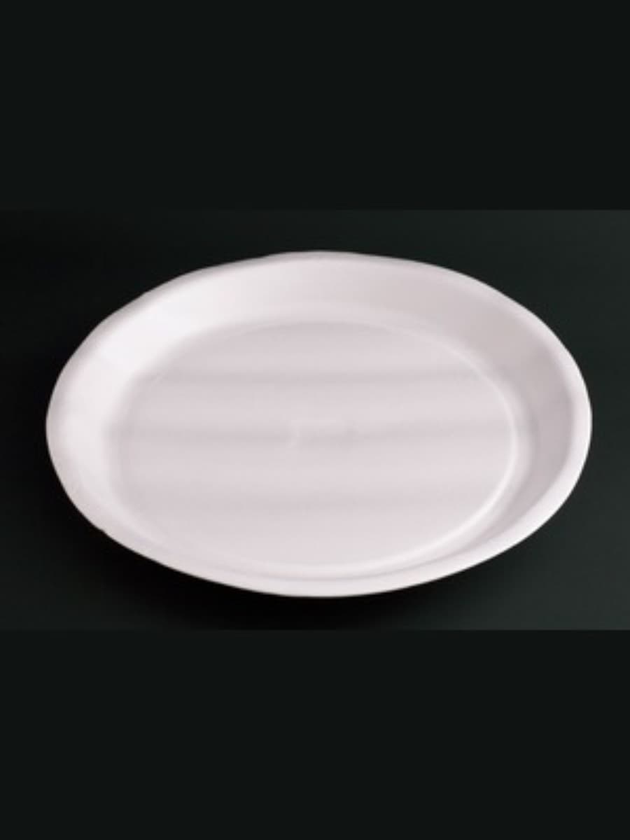 PS AP-10_ FOAM PLATE (P-22)