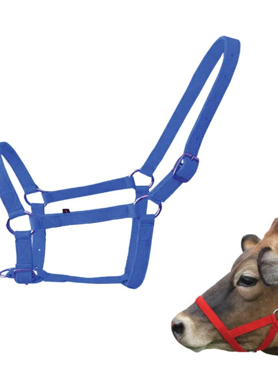 ANIMAL HALTERS (Category-02)