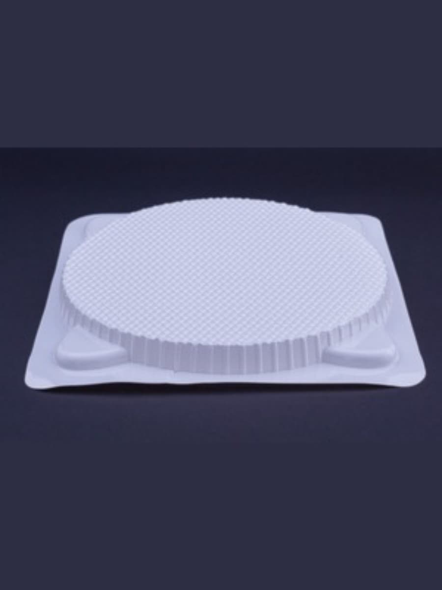 plastic food plate 2