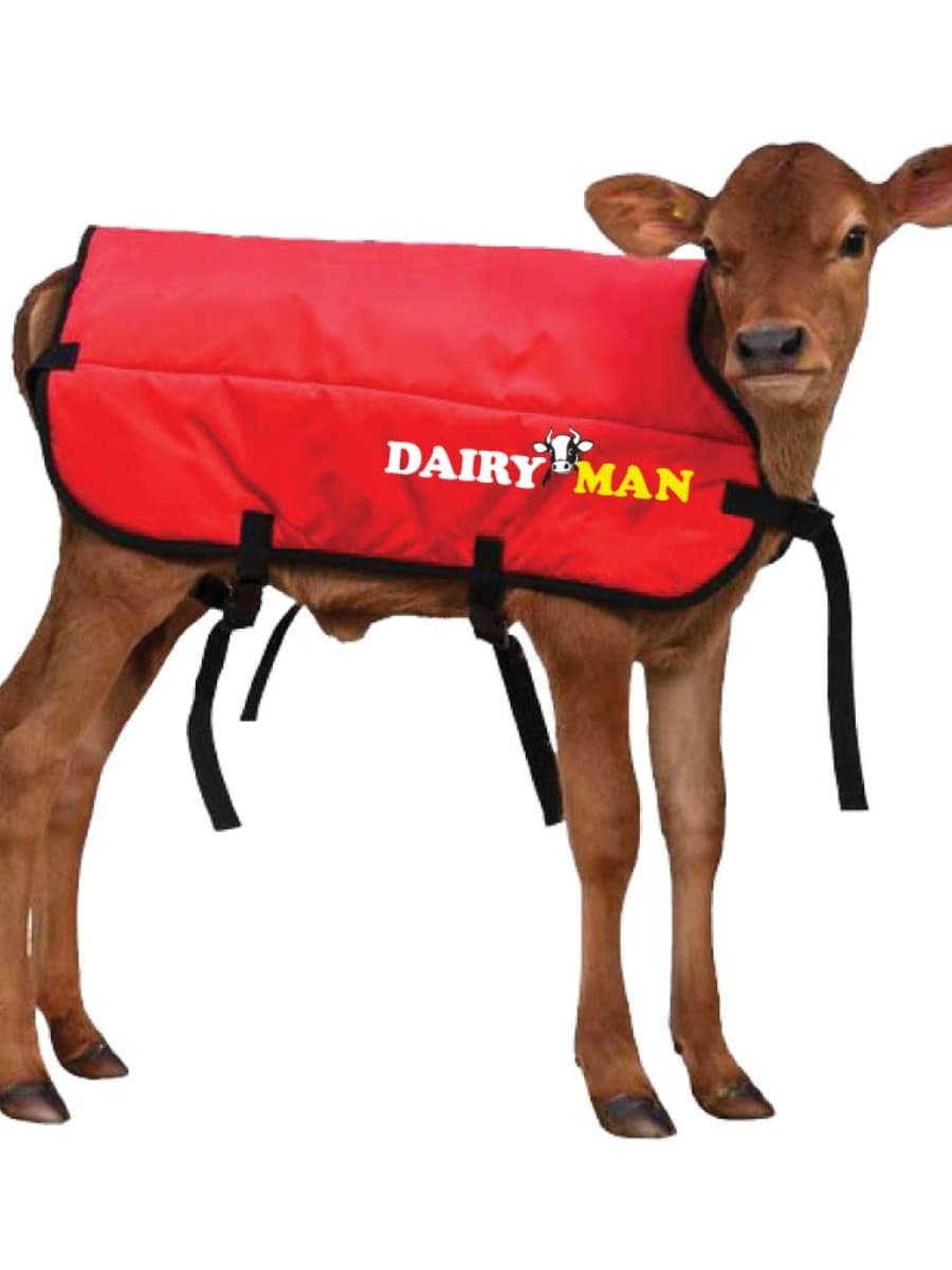 Calf Jacket