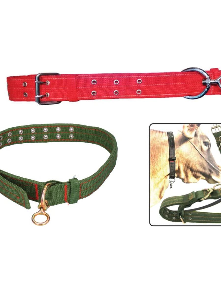ANIMAL COLLAR BELT